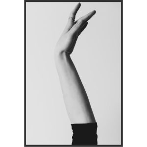 Courbes, lignes et mouvements
